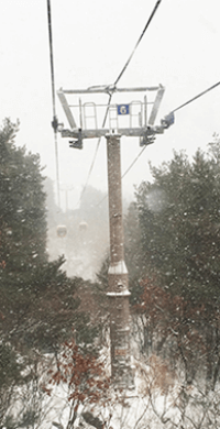 팔공산 케이블카 예약