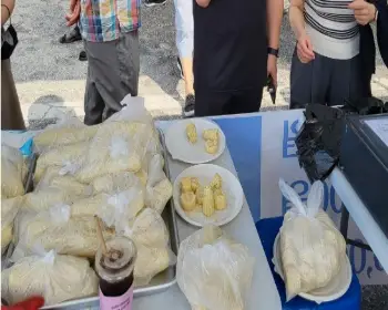 홍천 찰옥수수 축제 판매_5