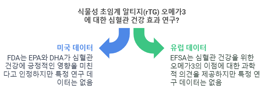 식물성 초임계 알티지(rTG) 오메가3 연구