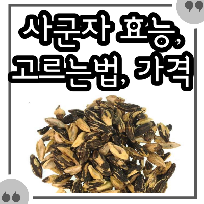 전립선 비대증 예방에 도움 되는 사군자 효능과 고르는 법&#44; 영양제 최저 가격대