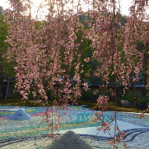 교토 여행 추천 교토 고다이지