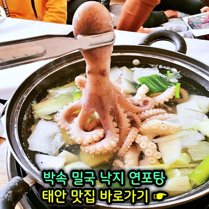 생방송 투데이 충남 태안 낙지 한상 박속밀국낙지탕 맛집