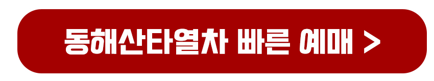 동해산타열차 빠른 예매