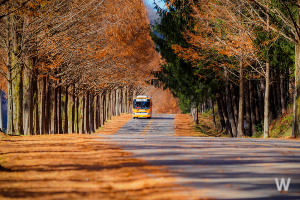 청소년 교통비 지원금 신청7