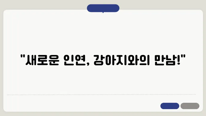 강아지를 가정으로 초대할 때 필요한 준비물