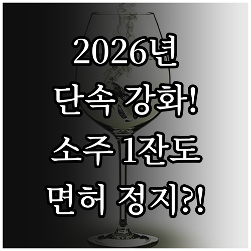 소주 한 잔도 면허 정지 2026년 ..
