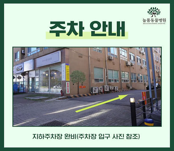 늘품동물병원