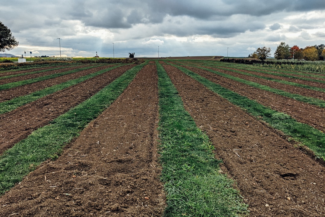 Agricultural Land