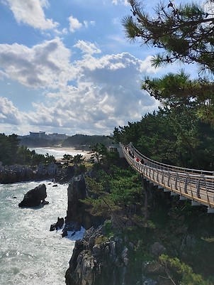 강원도 동해시 추암동 추암 촛대바위 출렁다리