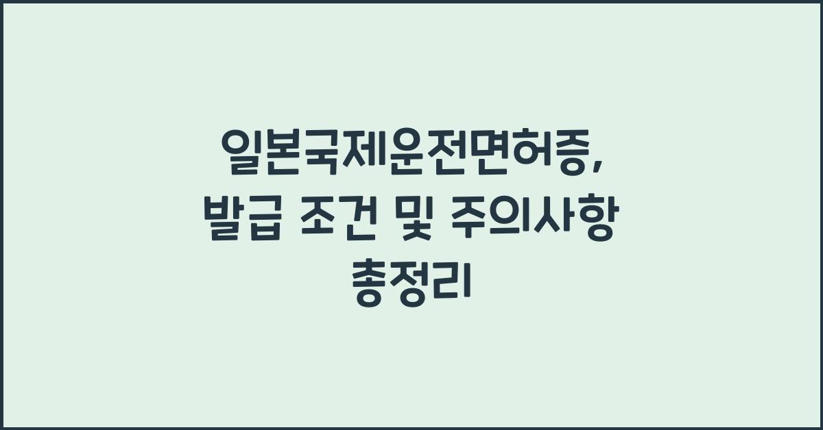 일본국제운전면허증