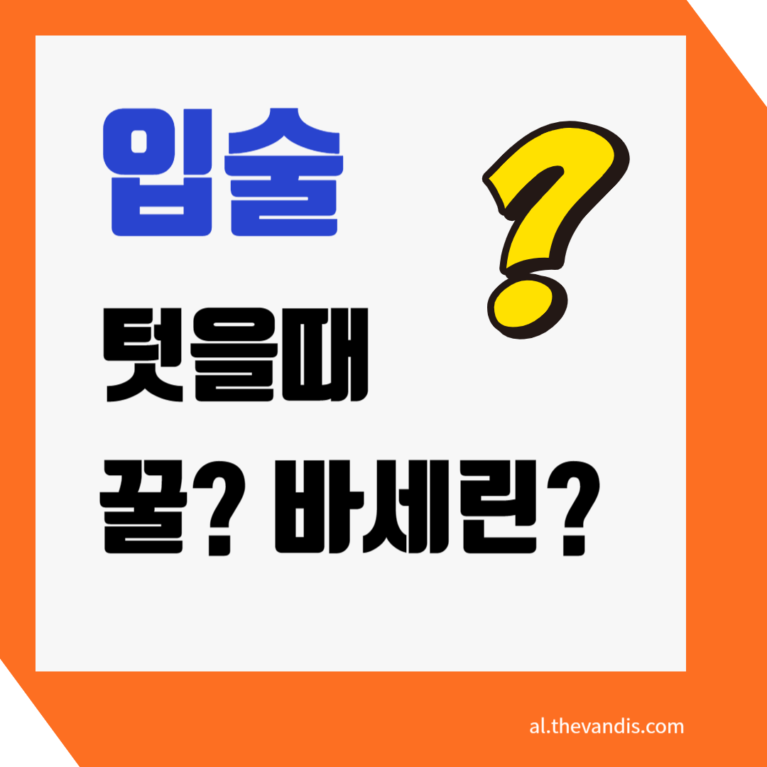 입술 텄을 때 방법