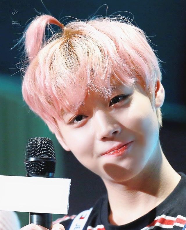 워너원 고화질 사진 강다니엘, 박지훈