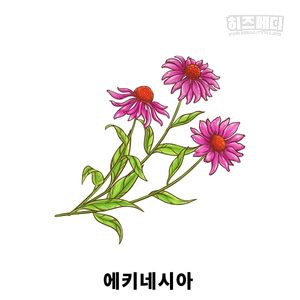 감기 몸살 빨리 낫는법