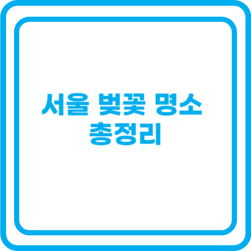 서울 벚꽃 명소 총정리