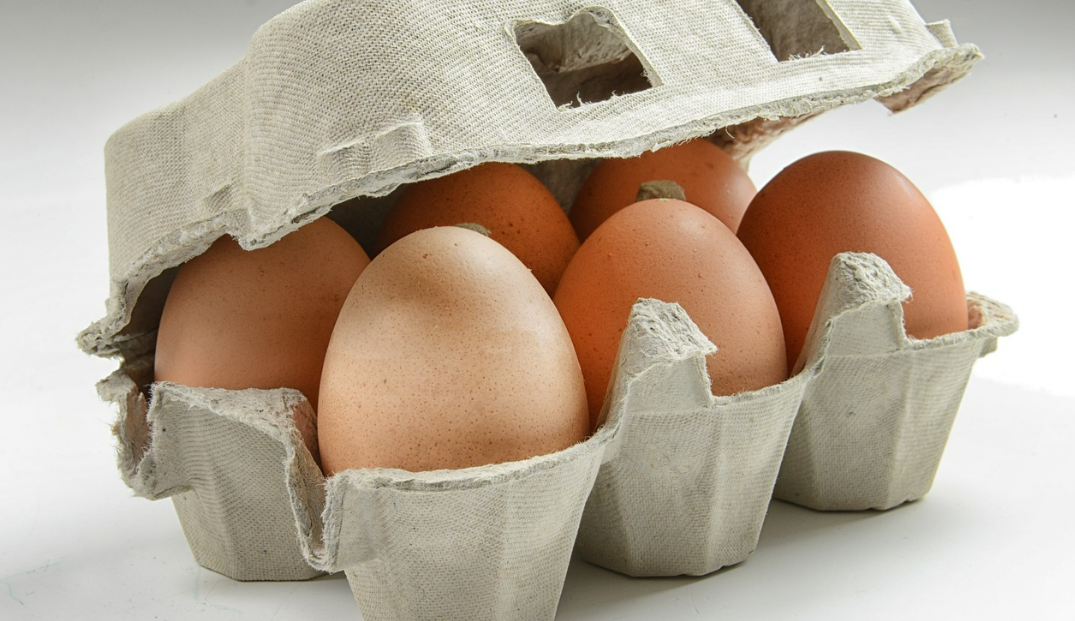 단백질 덩어리, 달걀의 피부 및 근육 건강 효능