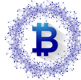 애니메 코인 ANIME