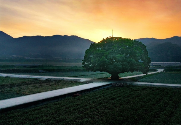 첫사랑을위하여촬영지,드라마촬영지,헌화로,합천여행,삼척해변,촬영지성지,드라마촬영장소