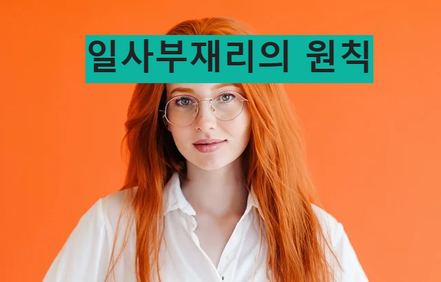 일사부재리의 원칙 법률용어 법 피고인권리 기본권보장
