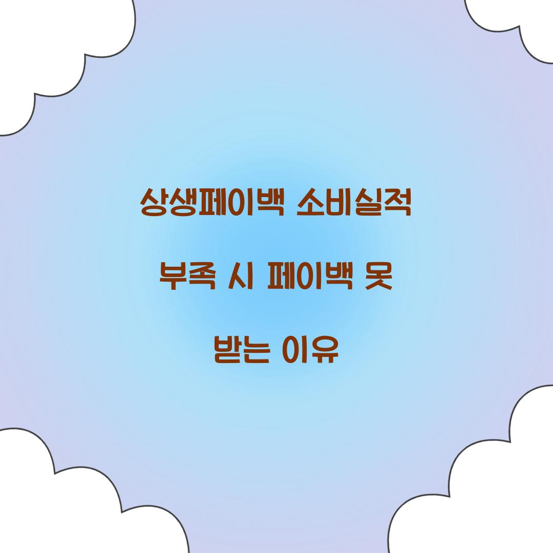 상생페이백 소비실적 부족 시 페이백 못 받는 이유