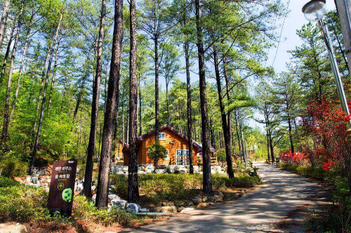 백운산자연휴양림