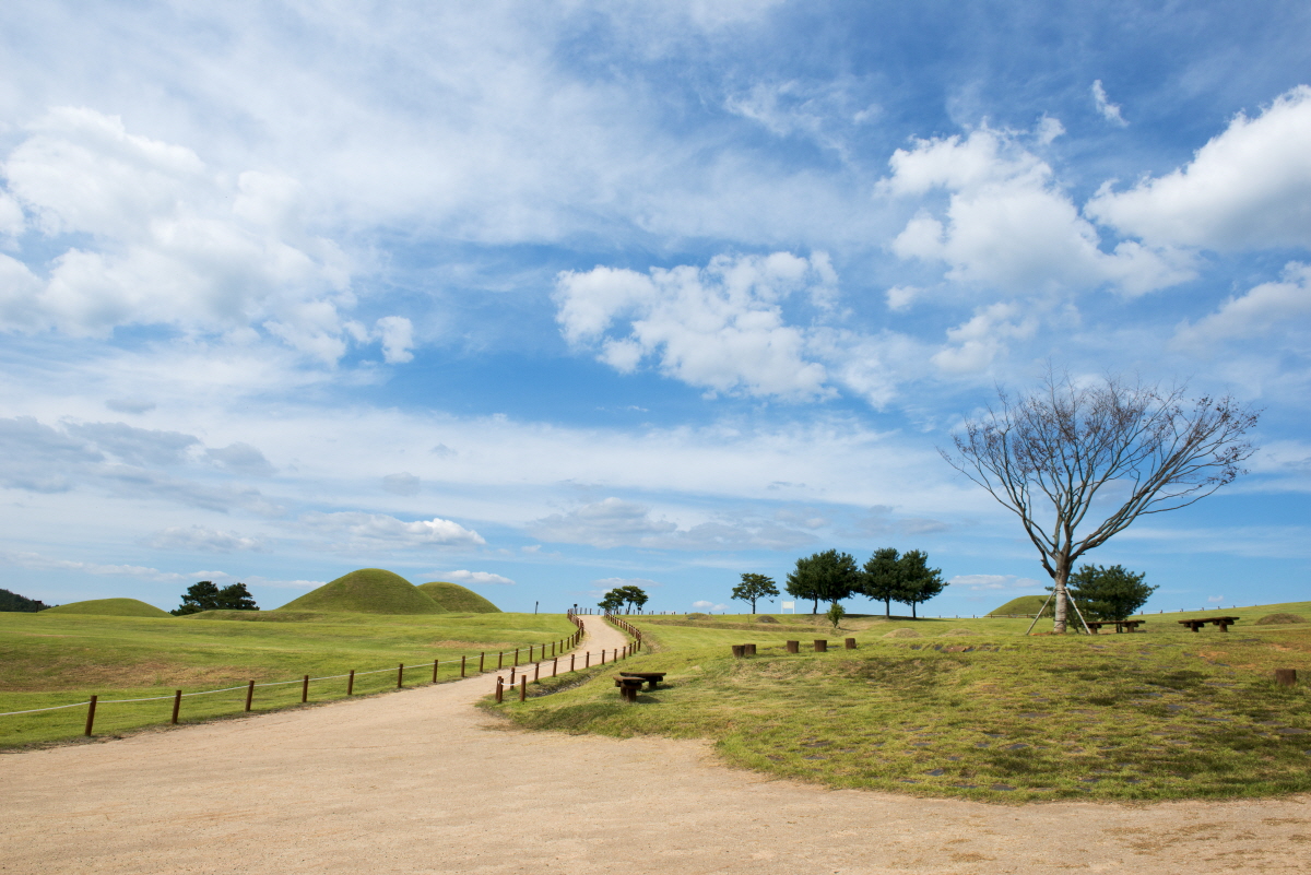 의성 금성산 고분군