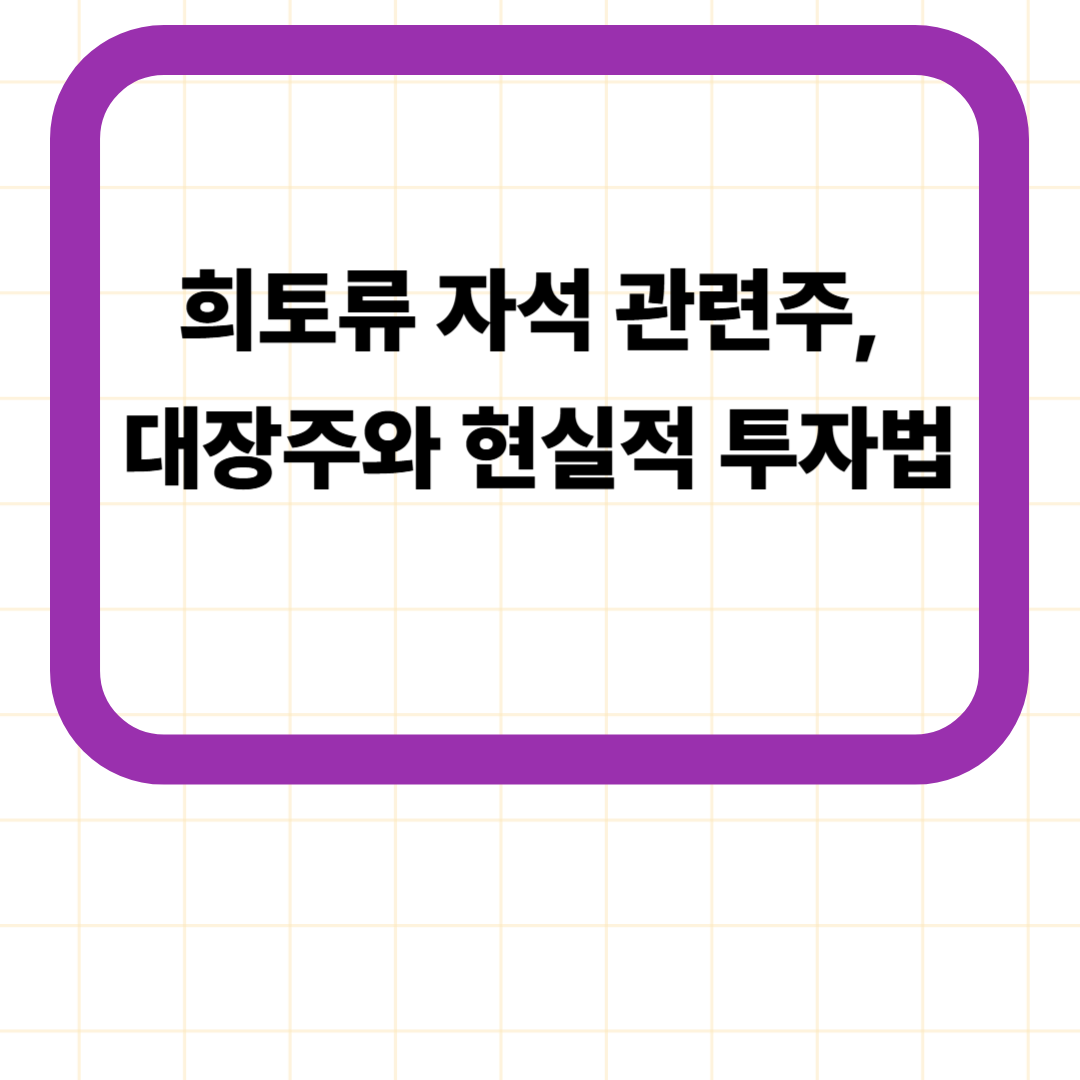 희토류 자석 관련주, 대장주와 현실적 투자법