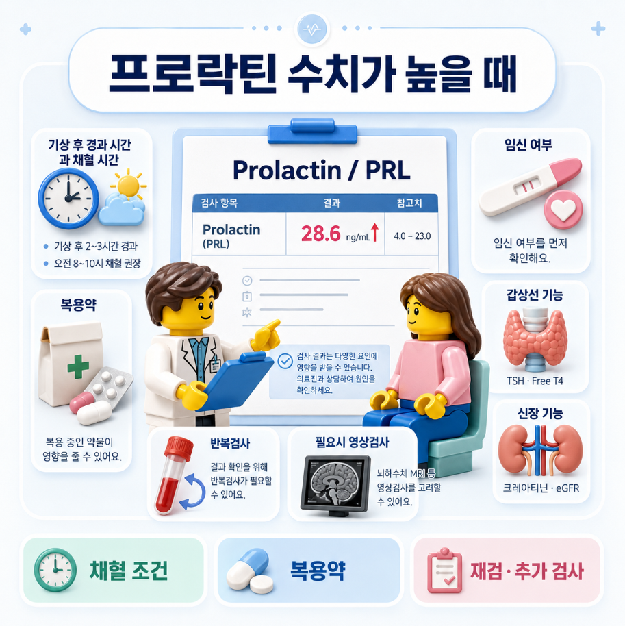 프로락틴 수치가 높을 때 확인해야 할 검사와 관련 항목을 레고풍 의료 인포그래픽으로 정리한 일러스트