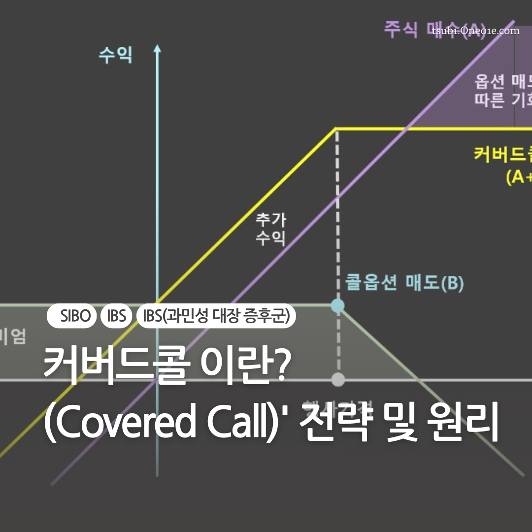 커버드콜 이란?