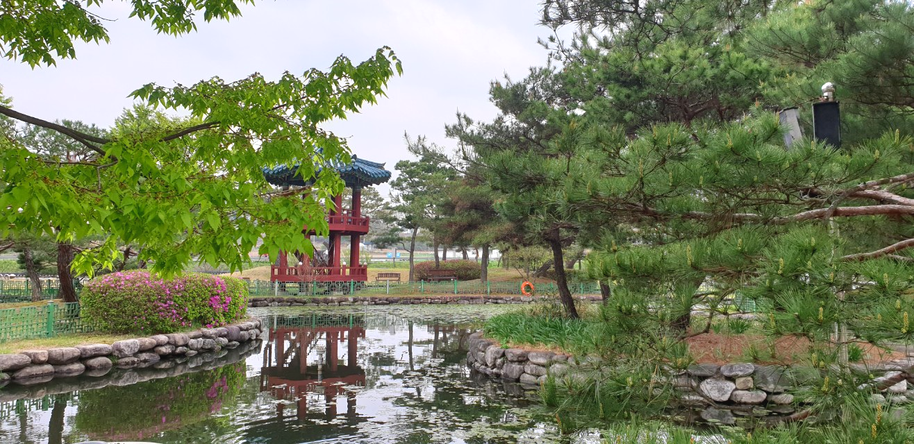 여주여행버스