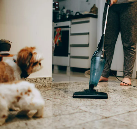 강아지 쌕쌕 켁켁거림, 혹시 천식? 보호자가 꼭 알아야 할 모든 것