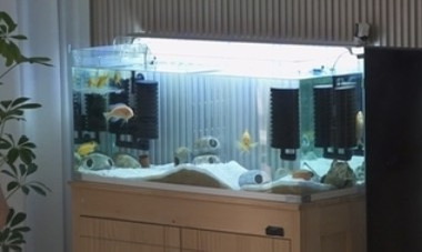 조아람 프로필