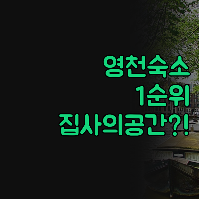 영천 숙소 추천 집사의공간 디데이호텔..