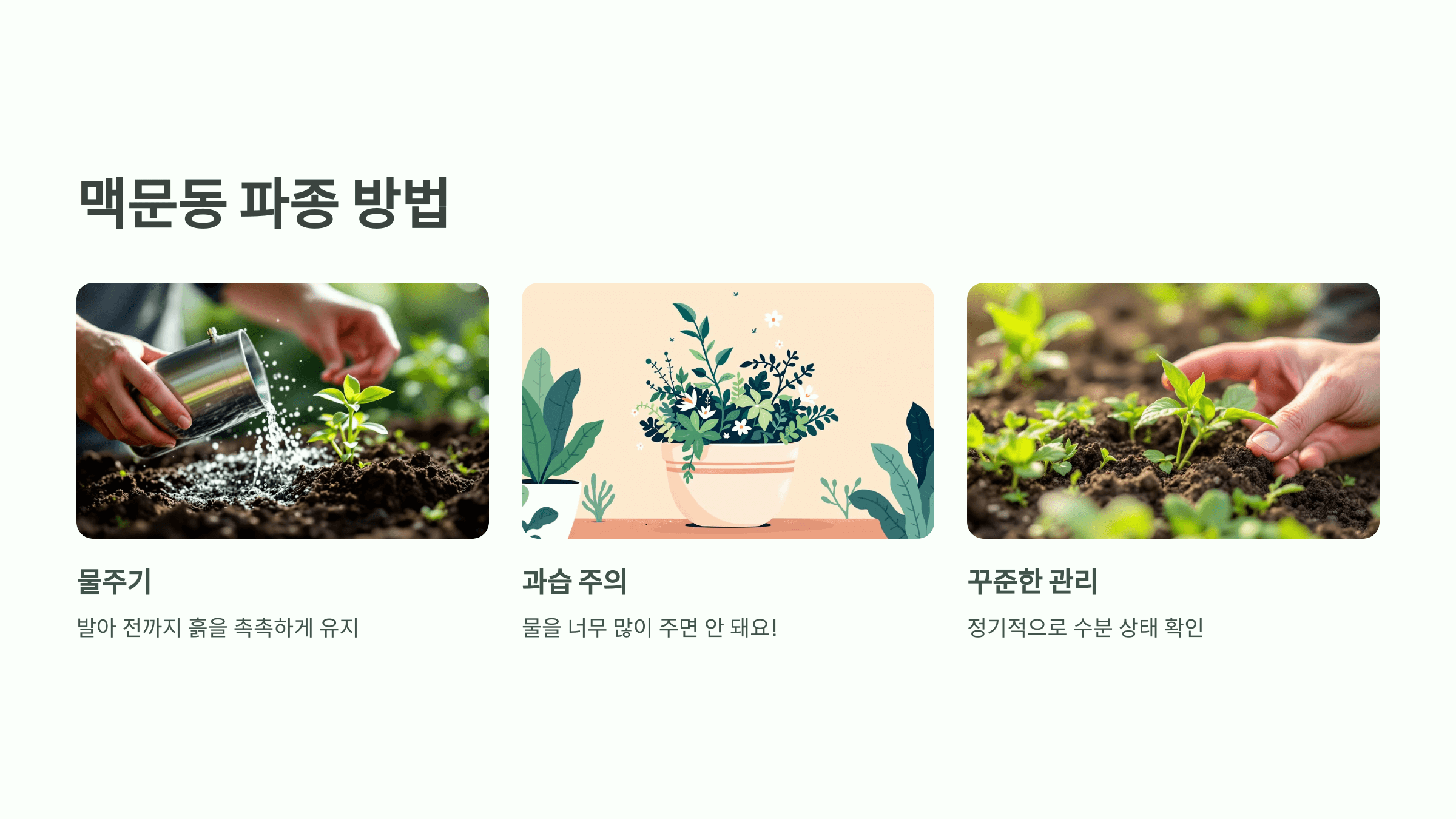 맥문동 사진입니다.