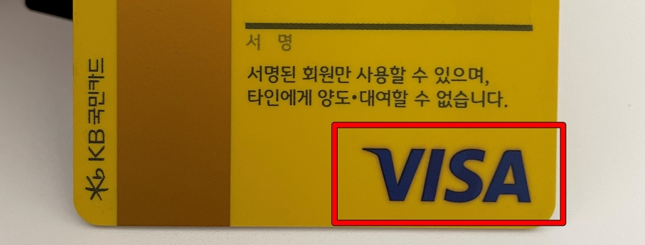 국민카드의 비자 브랜드가 적용된 모습