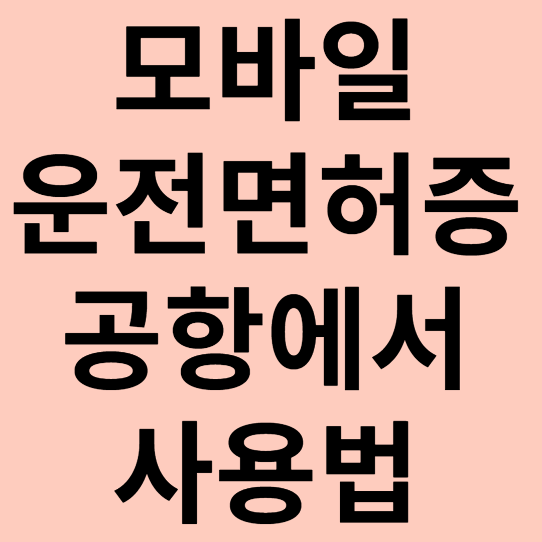 모바일 운전면허증 공항 사용법 관련 이미지
