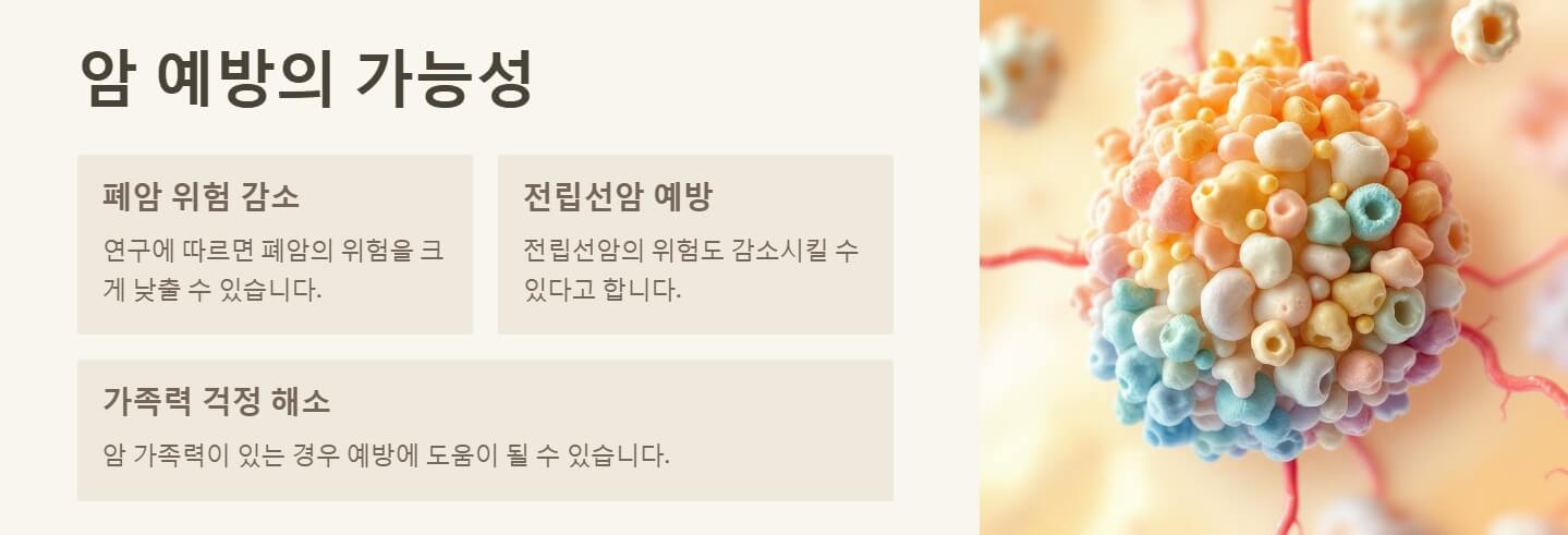 비타민 K2 효능 및 부작용