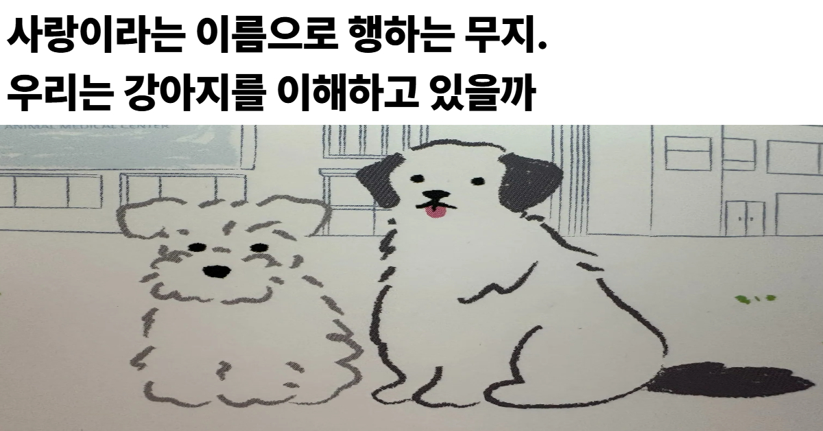 강아지 행동 이해와 올바른 양육 방식을 설명하는 일러스트