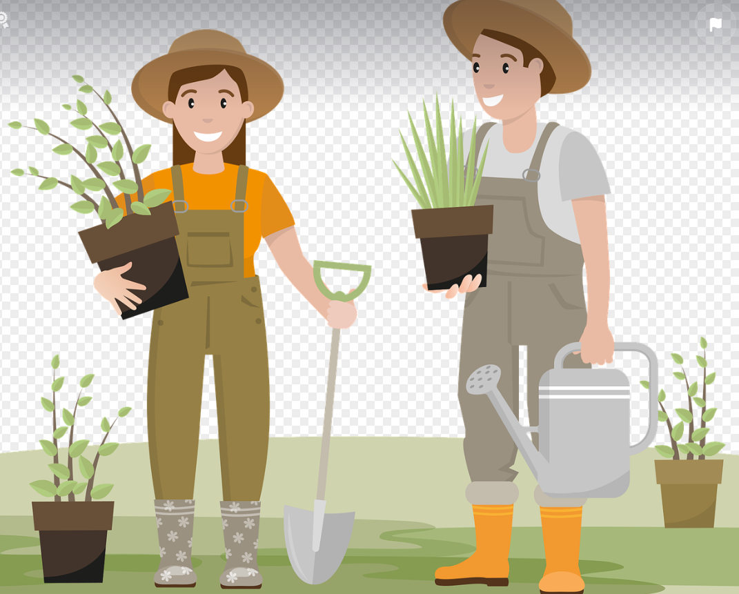 감정관리 좋아하는일하기 식물키우기