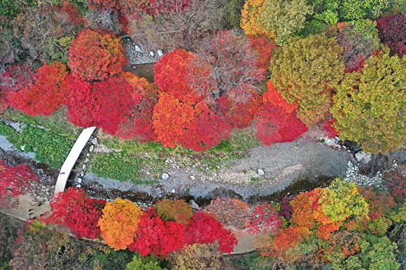 강천산 군립공원의 맨발걷기