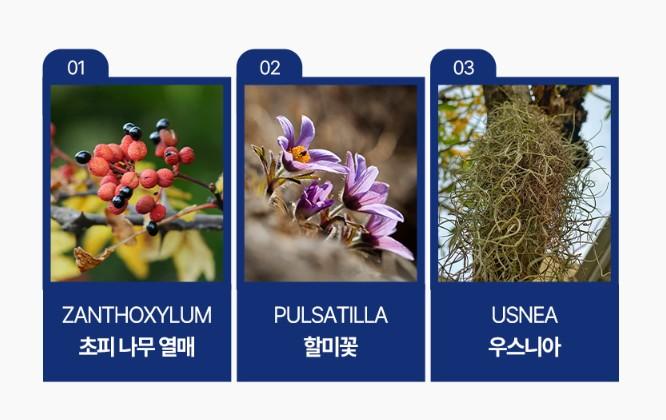 라셀턴 박토킬 스프레이 효과 효능