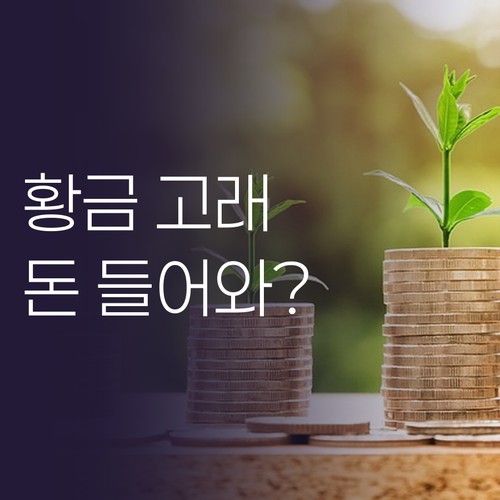 돈 들어오는 그림? 인메이블 황금 고..