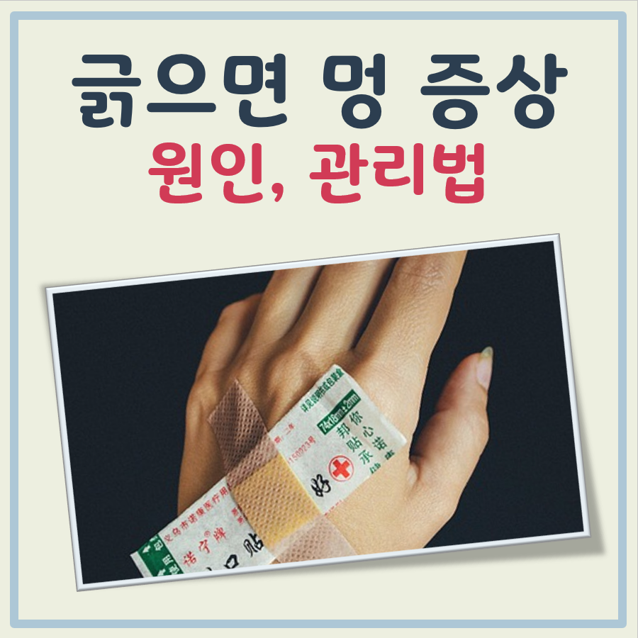 긁으면 멍드는증상 대표 이미지