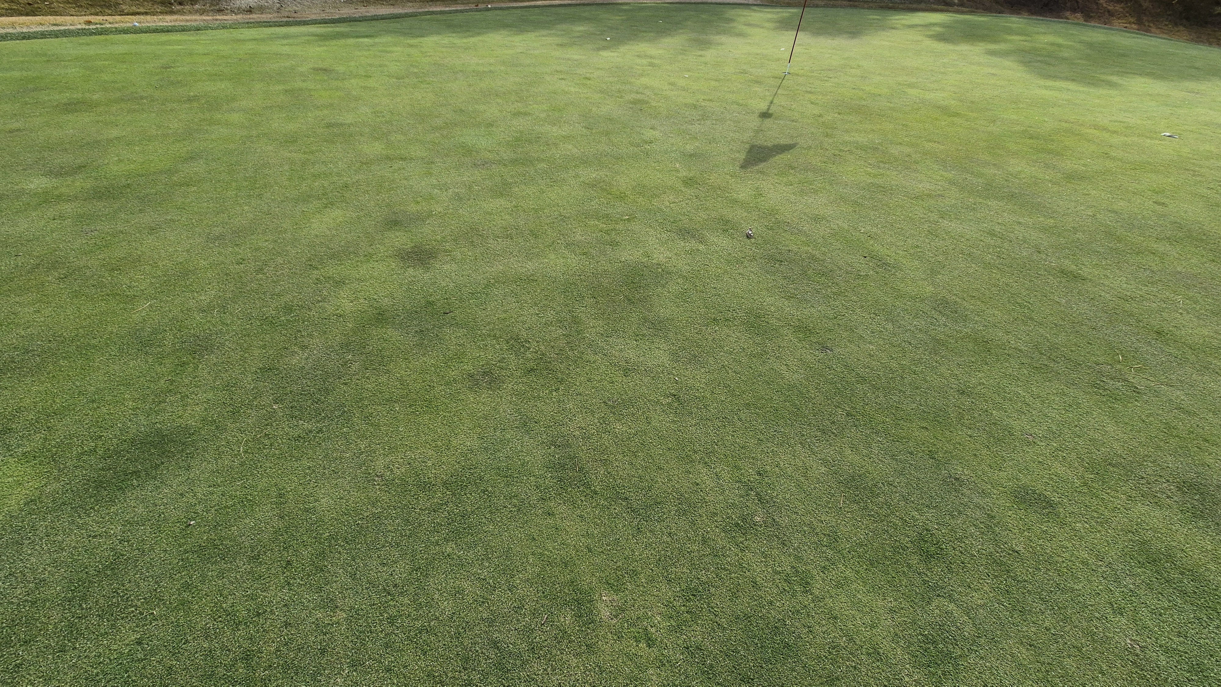 세종에머슨cc 밸리-마운틴 그린관리상태