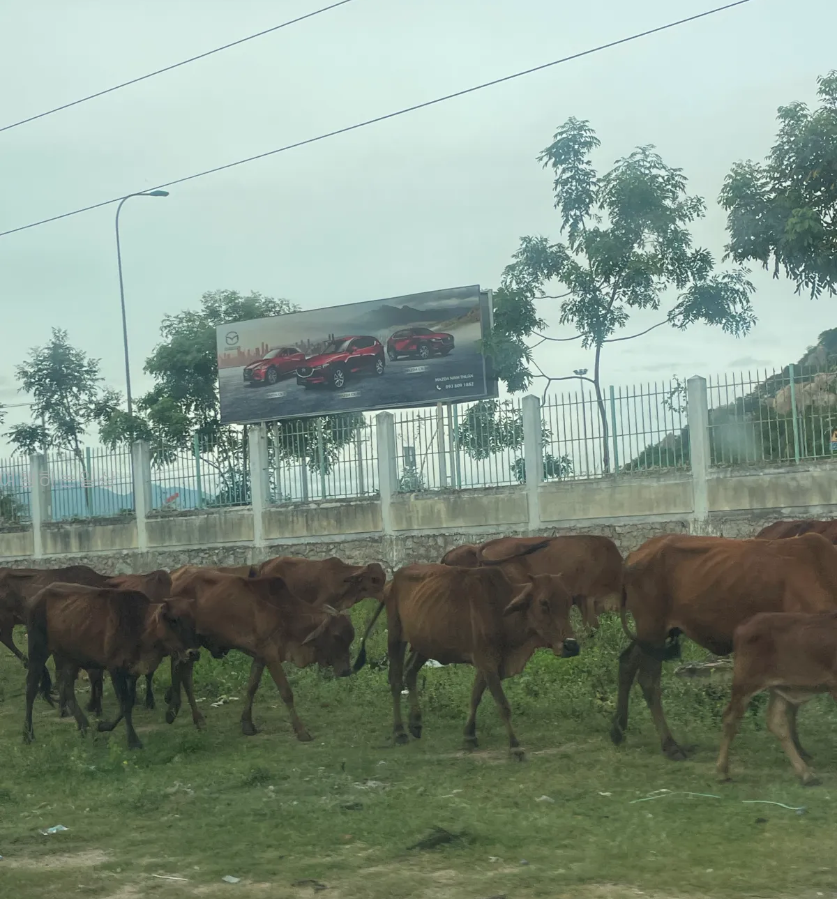 나트랑-판랑-사막투어-가족여행-눈치게임-대성공-핑크지프-모래썰매-만족후기(일정,경비정리)