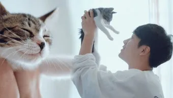 고양이가 집사를 사랑할때 하는 행동_3