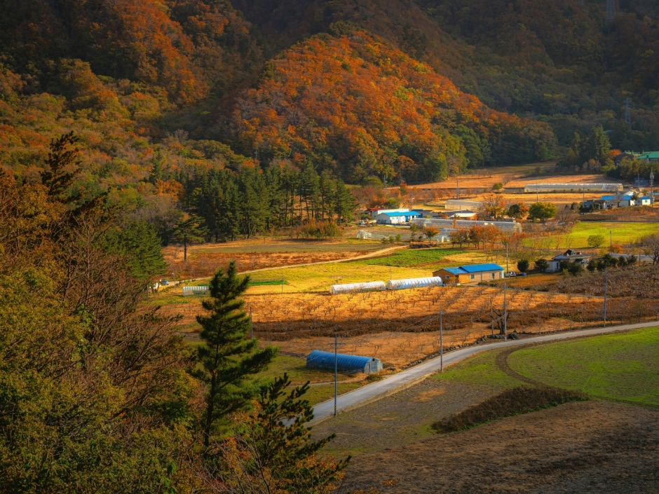 울릉도 가볼만한곳 베스트10