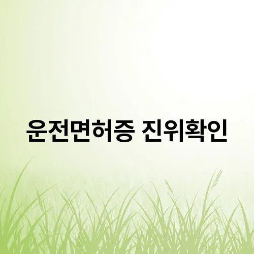 운전면허증 진위확인