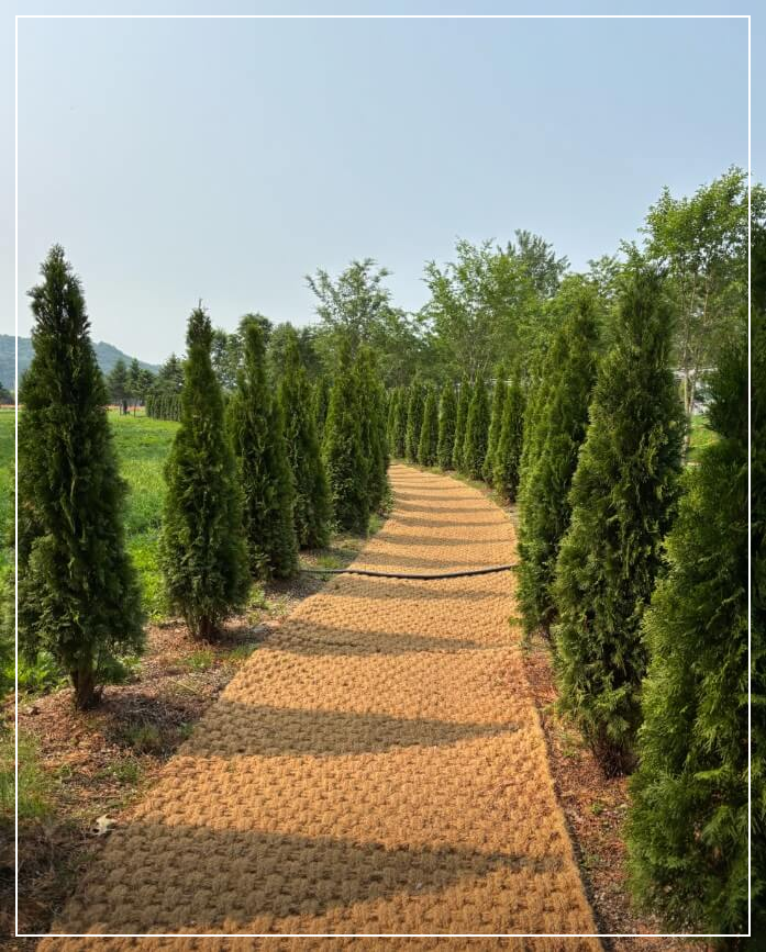 가평 가볼만한곳 베스트10 자라섬 남도꽃정원