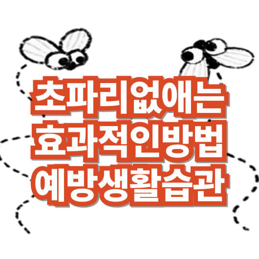 초파리-없애는-법