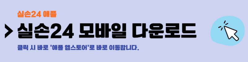 실손24